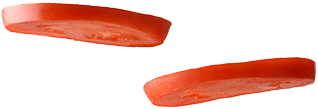 tomates